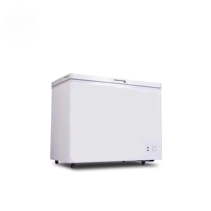 100~300 Liters Small Capacity  - Commercial Chest Freezer recension och pris